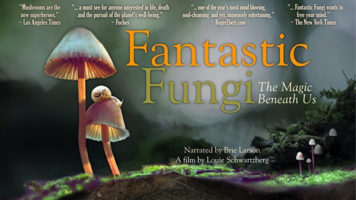 Fantastic Fungi Netflix