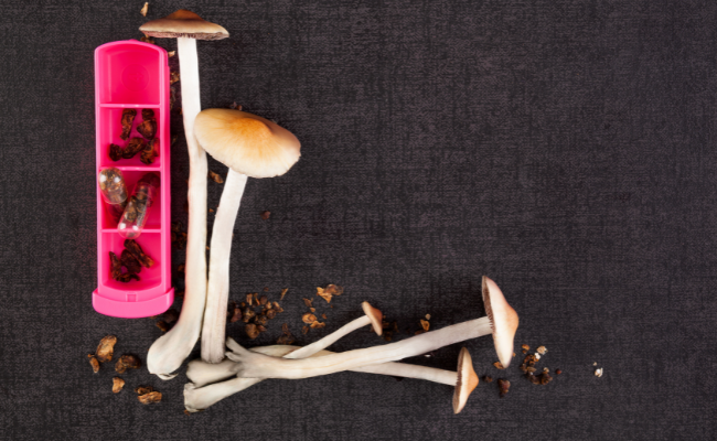 microdosing mushrooms is becoming prevalent among silicon valley crowd